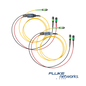 Image of Fluke Networks Reference Cord Set (CFM-TRC-S-MPO12U)