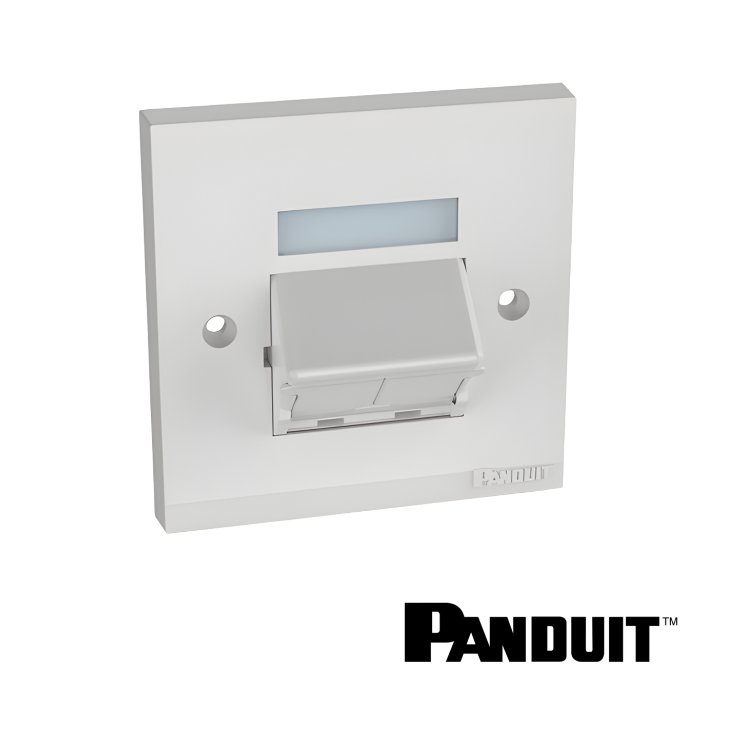 Image of PANDUIT Mini-Com® 2-Port Shuttered Faceplate Frame | White (PT-CFPUKS2SAWY)