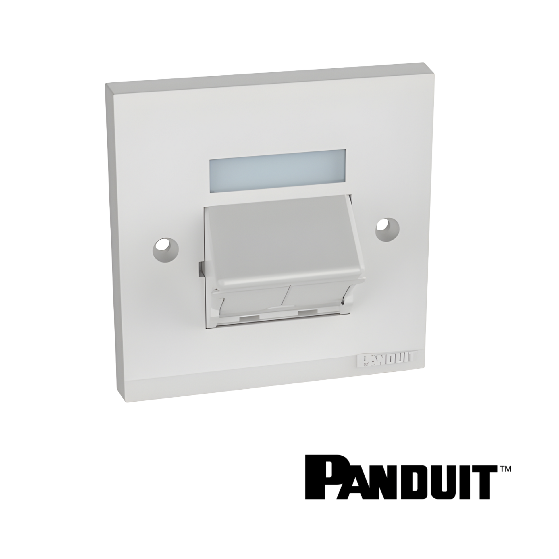 Image of PANDUIT Mini-Com® 2-Port Shuttered Faceplate Frame | White (PT-CFPUKS2SAWY)