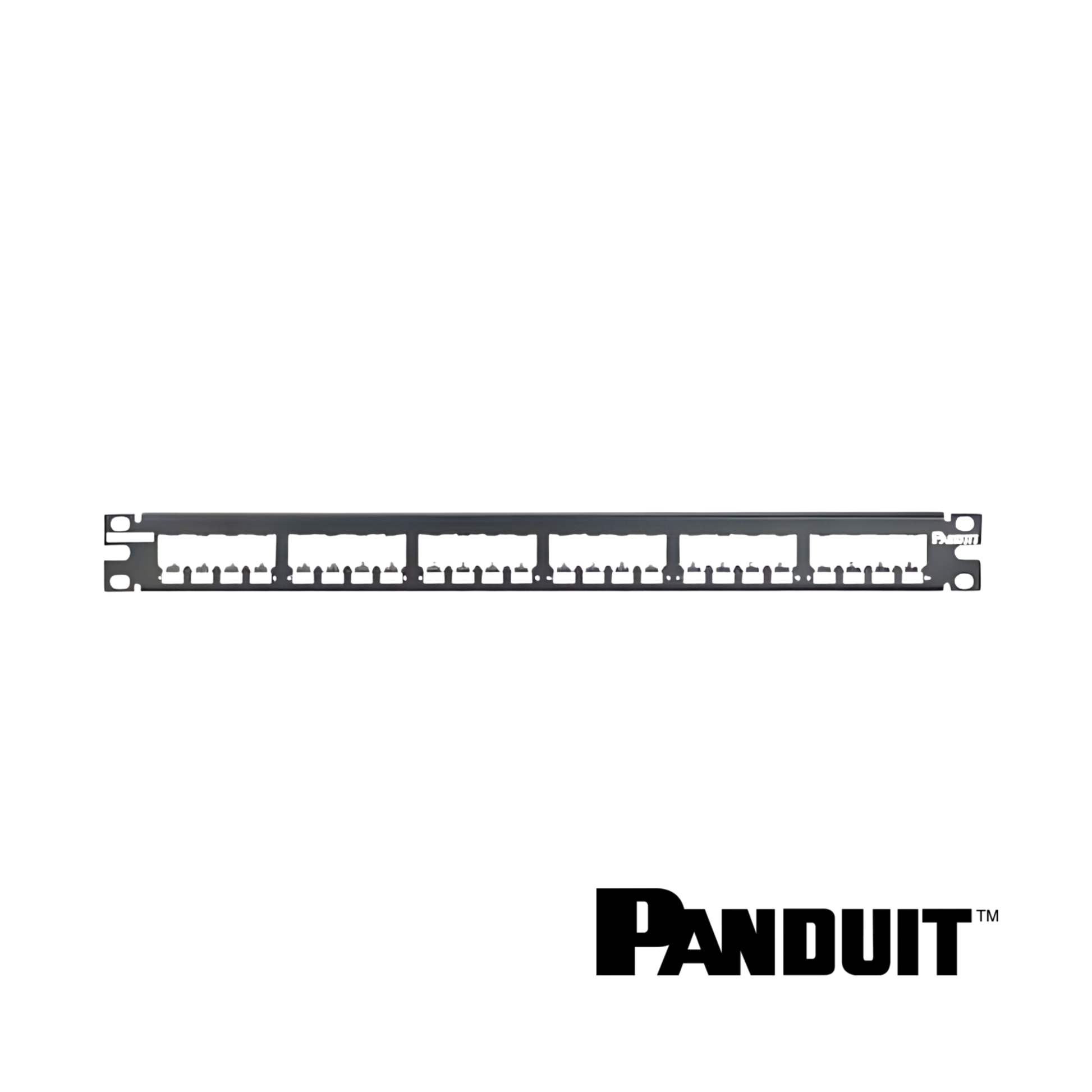 Image of PANDUIT Mini-Com® All Metal Modular 24-Port Patch Panel | 1RU (PT-CP24BLY)