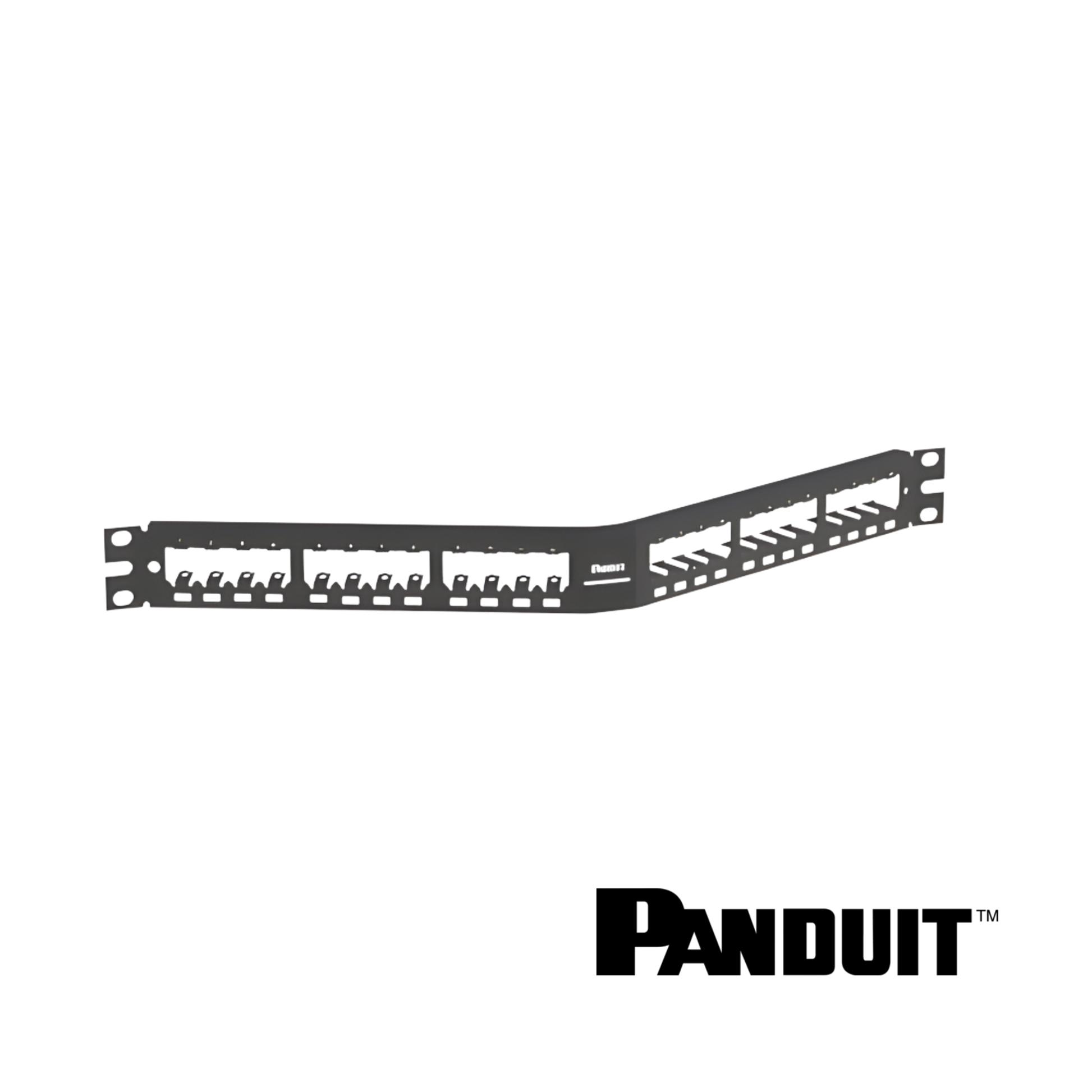 Image of PANDUIT Mini-Com® Modular 24-Port Patch Panel | Angled | Unloaded 1RU (PT-CPA24BLY)