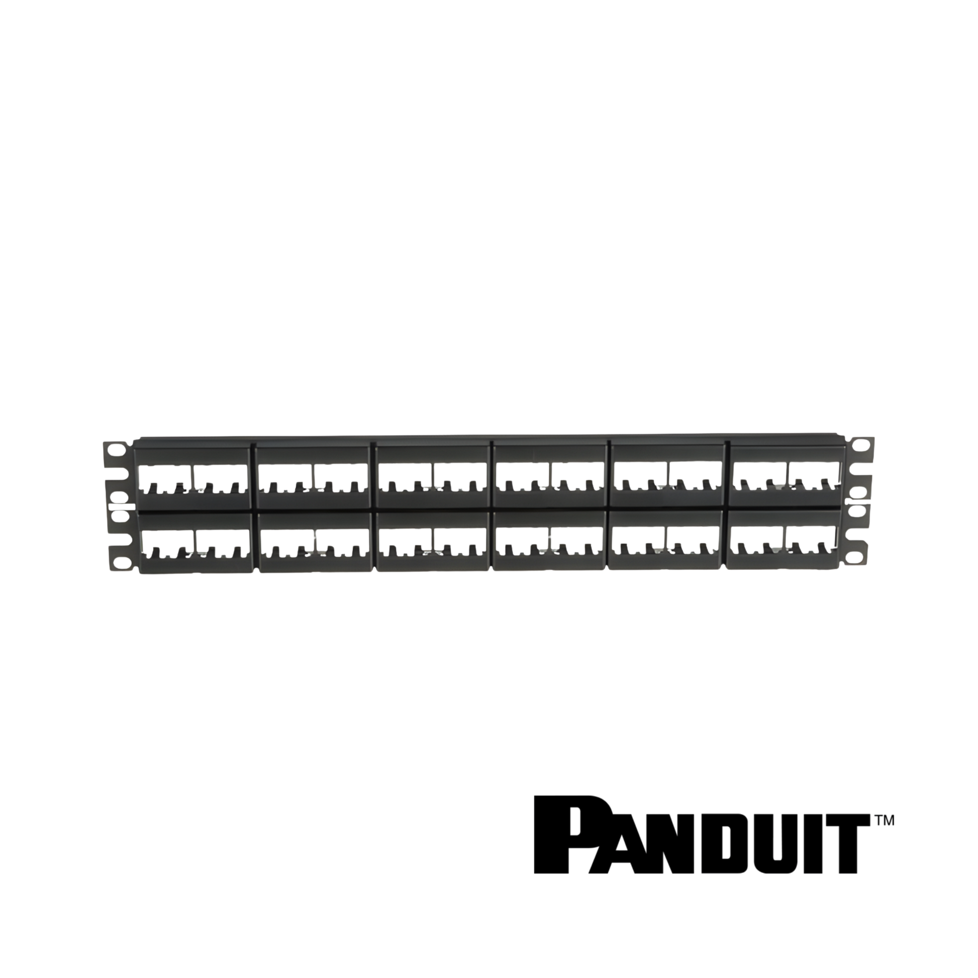 Image of PANDUIT Mini-Com® Modular 48-Port Patch Panel | Unloaded | 2RU + Label (PT-CPP48WBLY)