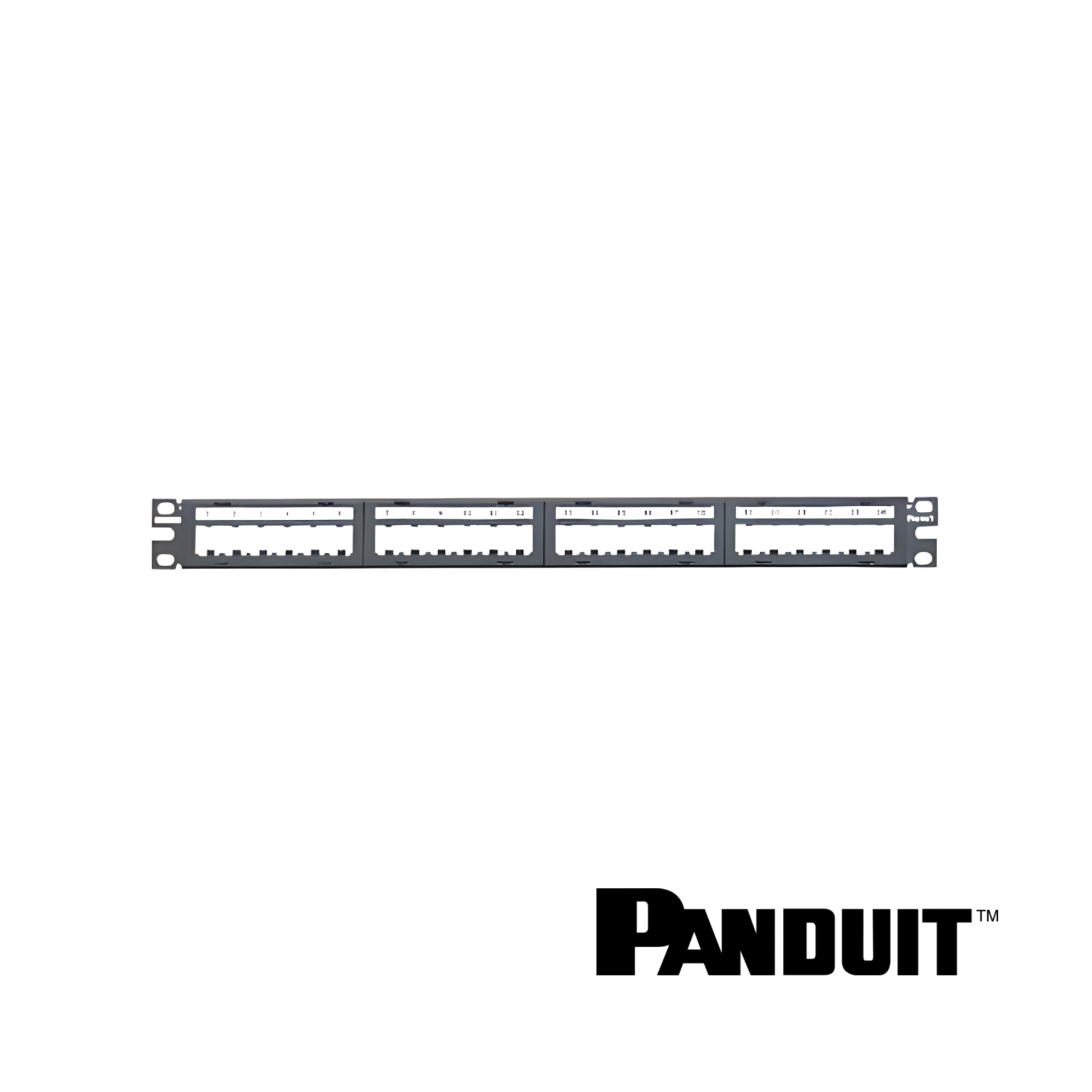 Image of PANDUIT Mini-Com® Modular Unshielded M6 Patch Panel | 1RU | Selector (PT-CPPL24M6BLY)