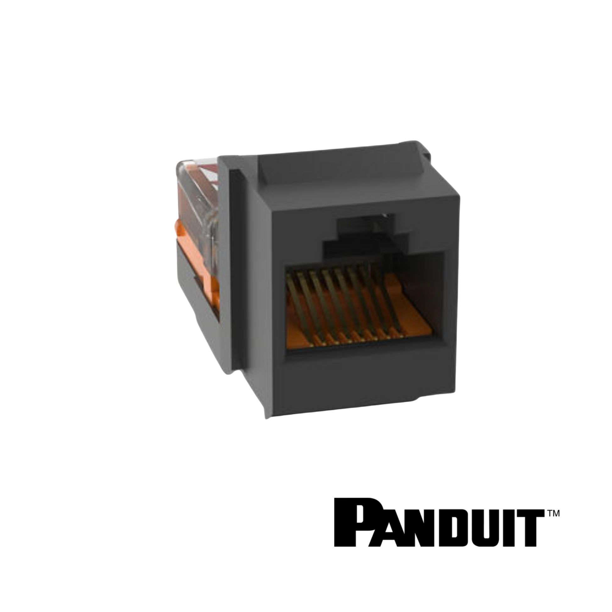 Image of PANDUIT NetKey Cat5e Keystone Jack Module (PT-NK5E88MBLY)