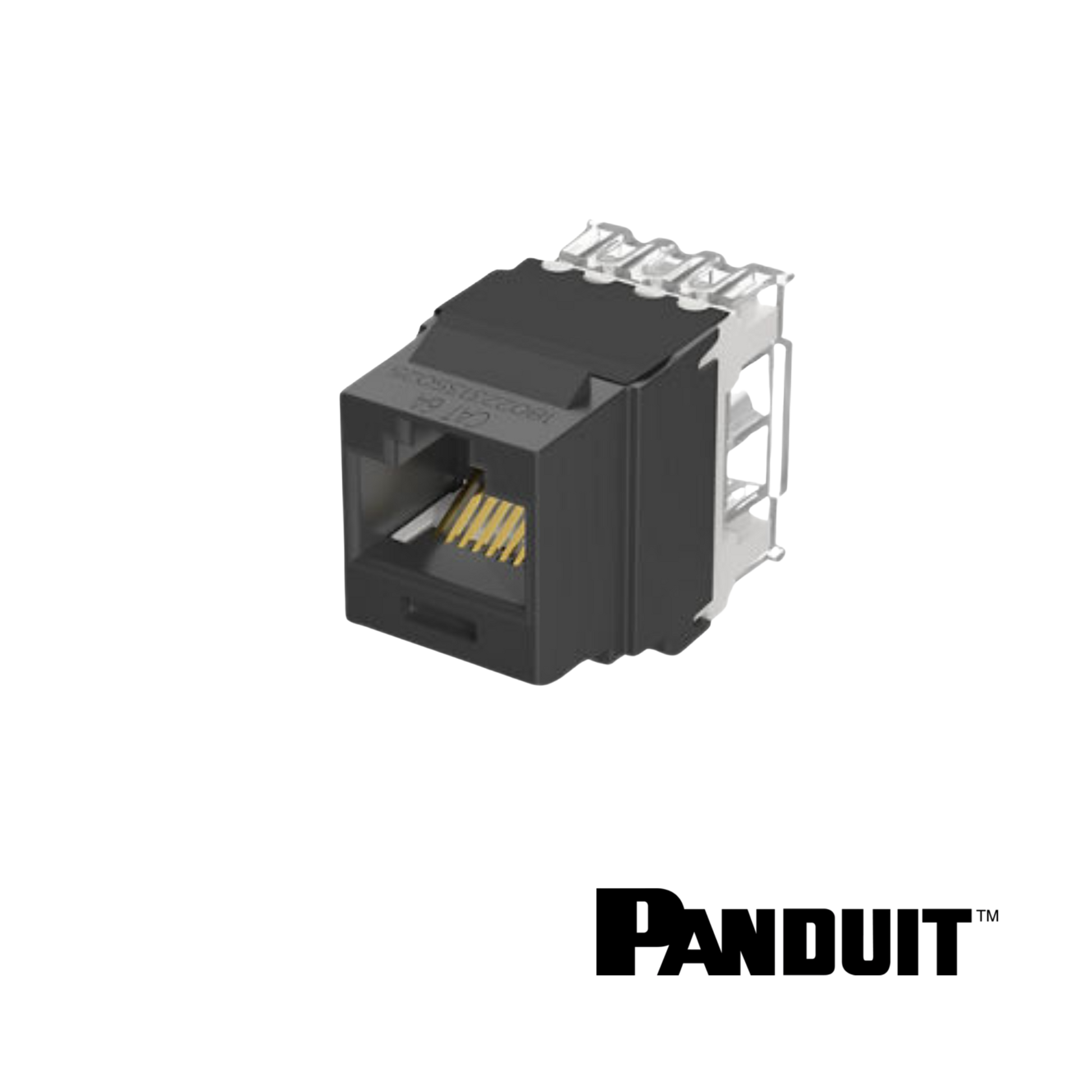 Image of PANDUIT NetKey Cat6A Keystone Punchdown Jack Module (PT-NK6X88MBL)