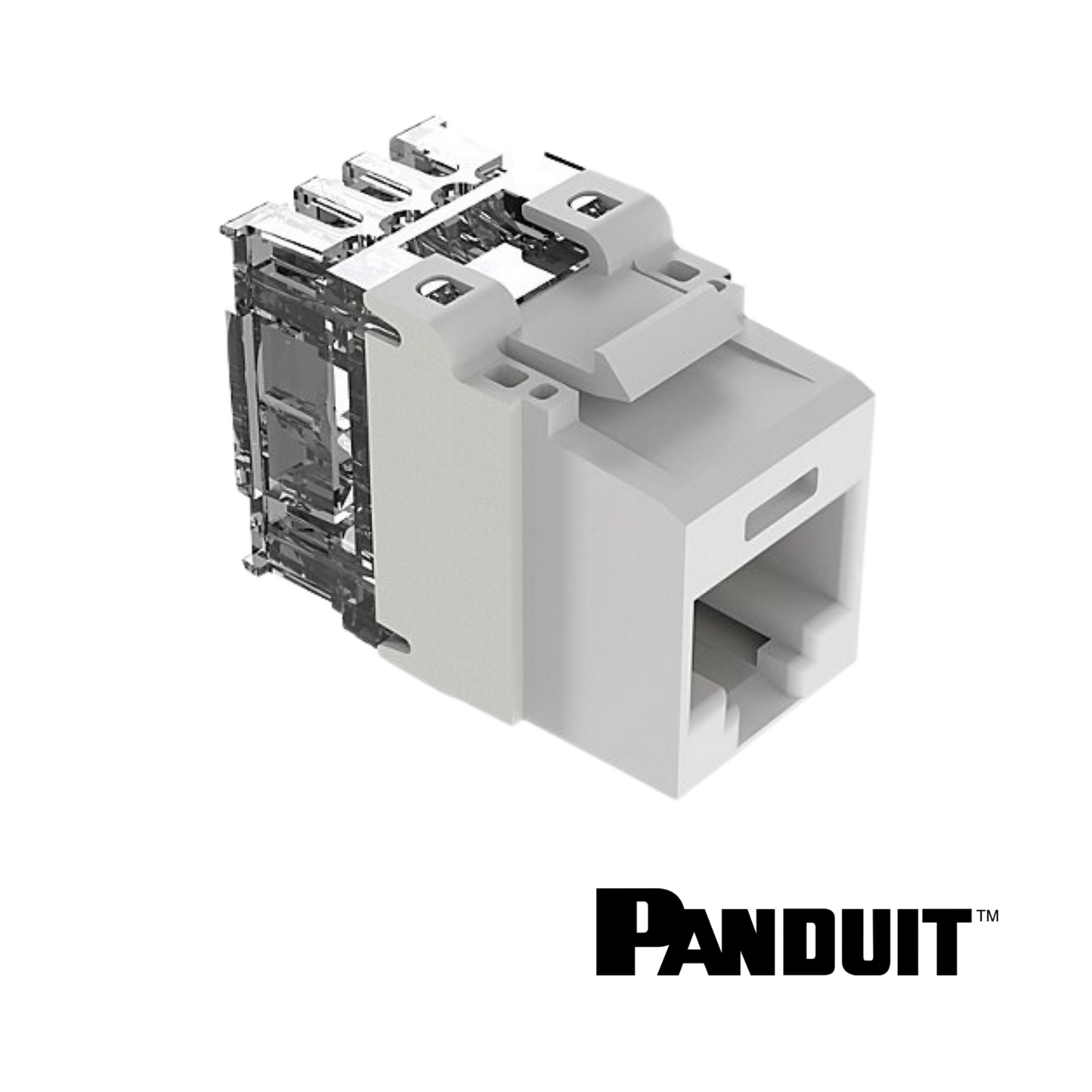 PANDUIT NetKey Cat6A Keystone Punchdown Jack Module