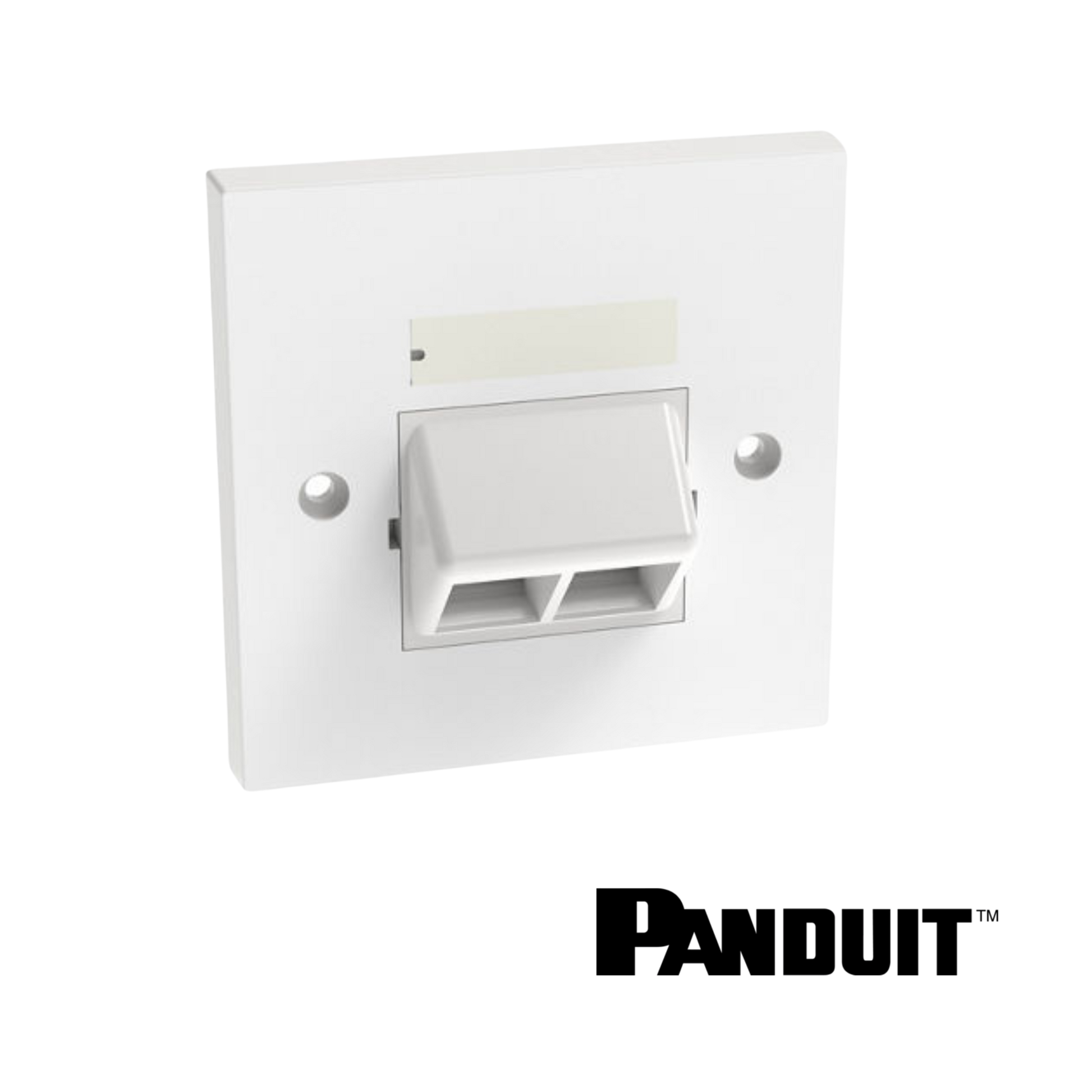 Image of PANDUIT NetKey 2-Port Sloped Faceplate 86mm x 86mm | White (PT-NKUKS2AW)