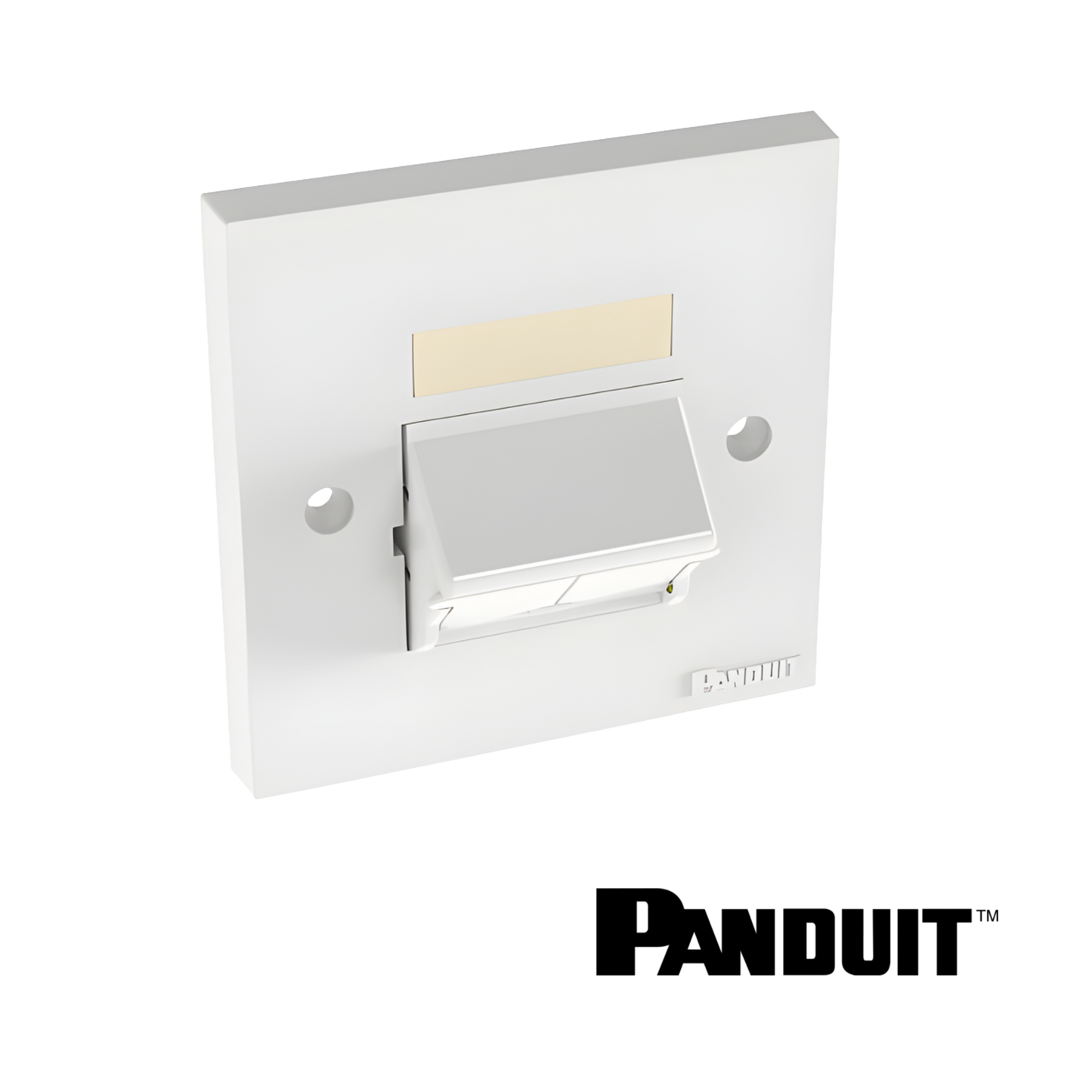 Image of PANDUIT NetKey 2-Port Sloped Faceplate 86mm x 86mm | White (PT-NKUKS2SAW)